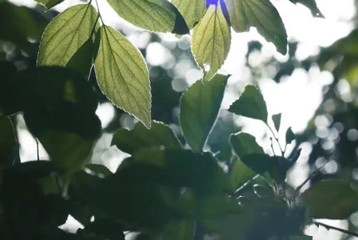 尋找百名困境兒童，聆聽(tīng)童音，護(hù)苗成長(zhǎng)